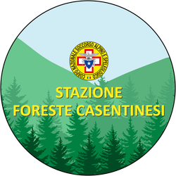 foreste_casentinesi